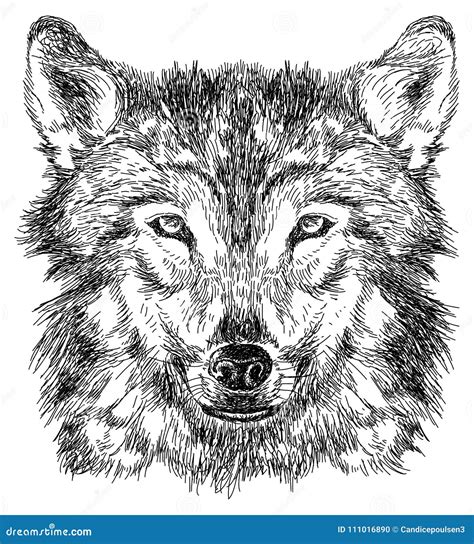 Image result for Schets Wolf