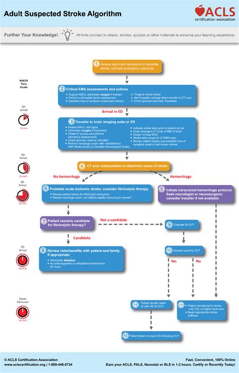 Image result for Stroke Medication Treatment Algorithm