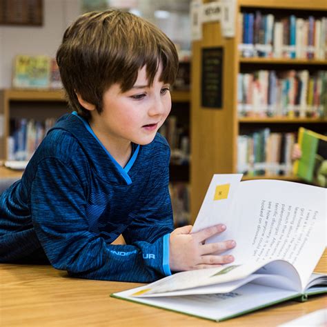 Toradh íomhá ar Reading and Reader Development the Pleasure of Reading