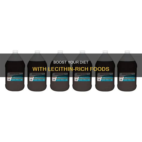 What Foods Are Rich in Lecithin に対する画像結果