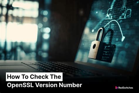 Image result for Check SSL Version