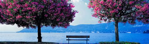 Image result for Spring Dual Monitor Wallpaper