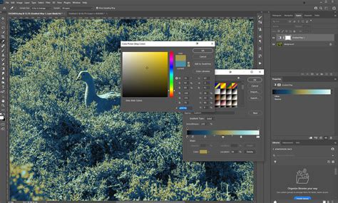 Gradient Map Photoshop-এর ছবি ফলাফল