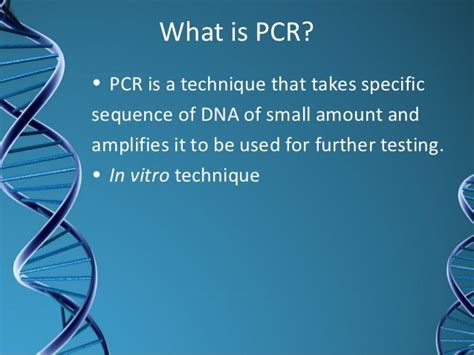 Image result for What Is PCR