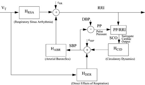 Image result for Model of Heart Rate Control