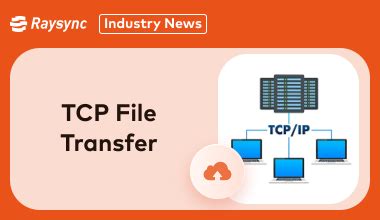 File Transfer Using TCP Connection C に対する画像結果