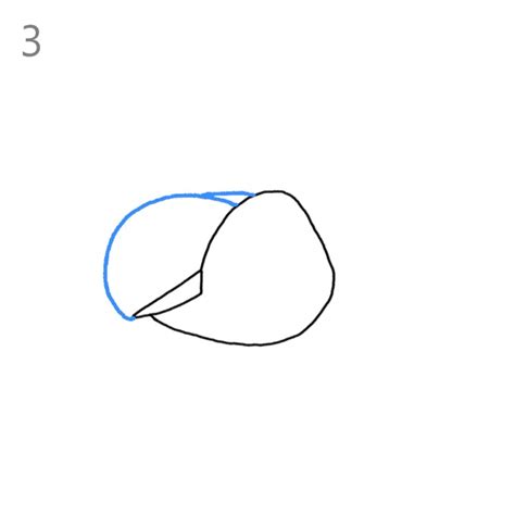 Image result for Large Conch Shell Line Drawing