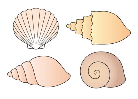 Snail Shell Line Drawing に対する画像結果