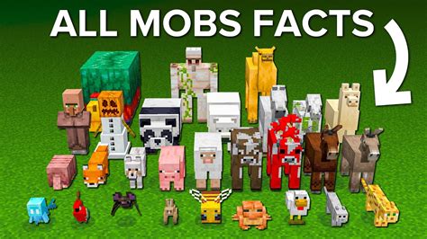 Image result for Minecraft Mobs with Many Faces