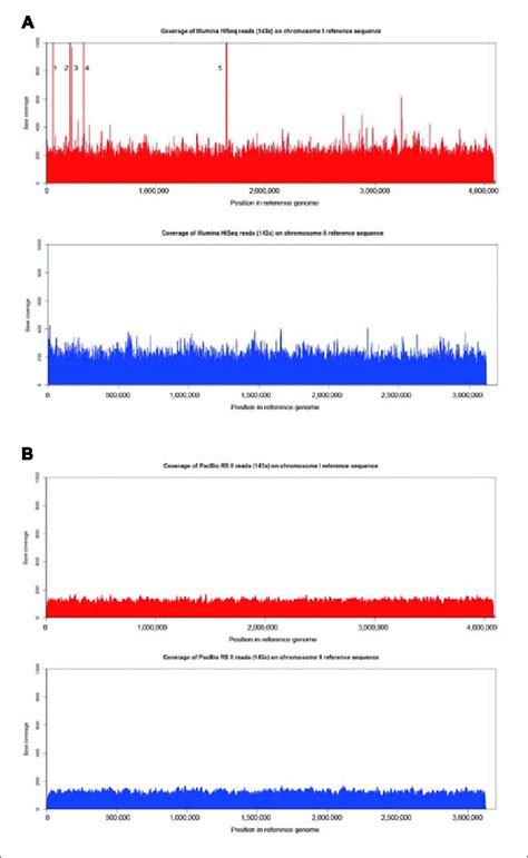 Image result for Per Base Coverage Distribution