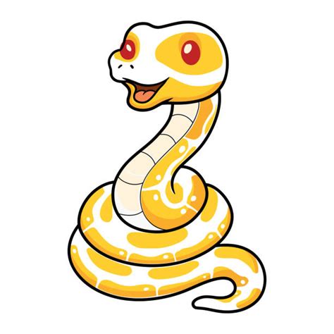 Royal Python Cartoon に対する画像結果