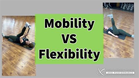 Image result for Difference Between Flexibility and Mobility
