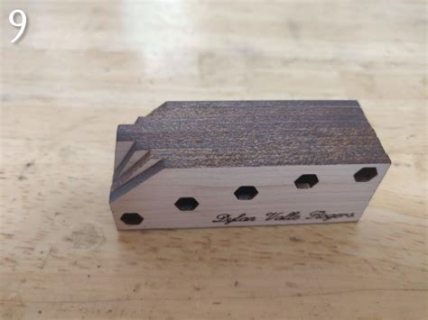 Image result for Insect Pinning