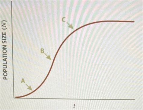 Image result for Logistic Growth Example Graph with 5 Phases