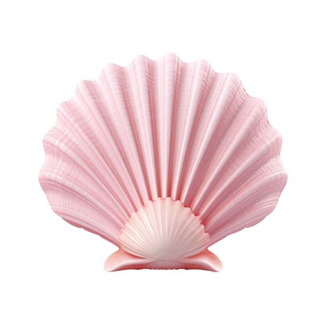 Image result for Shell Vector Transparent