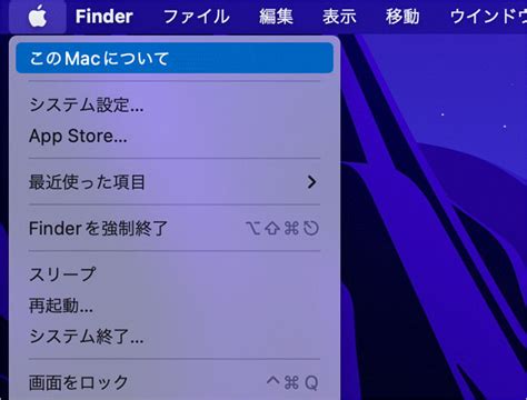 System Memory Check に対する画像結果