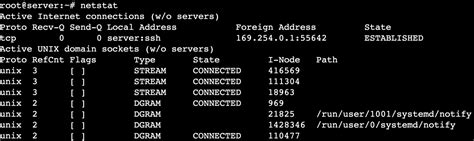 Image result for Netstat Linux