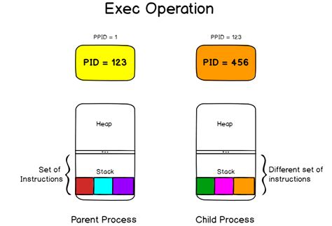 Image result for Process Creation Linux