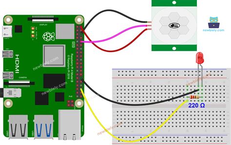 Image result for LED with Raspberry Pi Connection