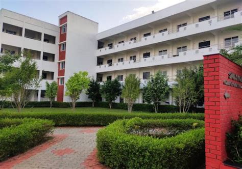 Toradh íomhá ar Study World College of Engineering Place Ment