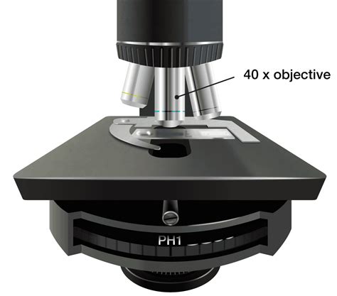 Microscope Plate に対する画像結果