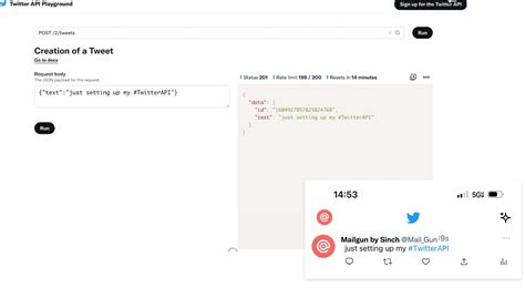 Afbeeldingsresultaten voor What Is a Twitter API
