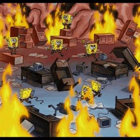 Toradh íomhá ar File Head Meme