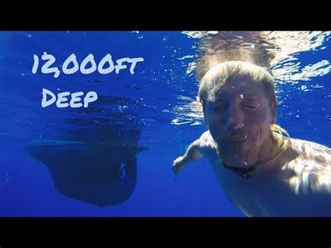 Image result for Mathophobe Side Sea Swimming