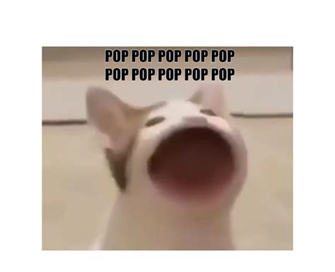 Image result for Pop Cat Meme Roblox SK