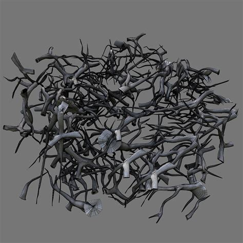 Image result for 3D Tree Plus Roots