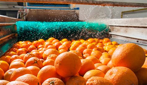 نتيجة الصورة لـ Perishable Material