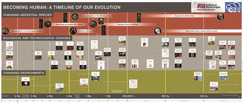 Image result for Evolution Timeline Life
