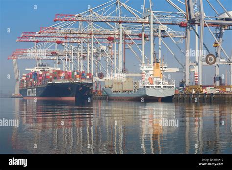 Afbeeldingsresultaten voor Container Front Unloading