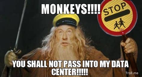 Image result for Complex Data Processing Centre Meme