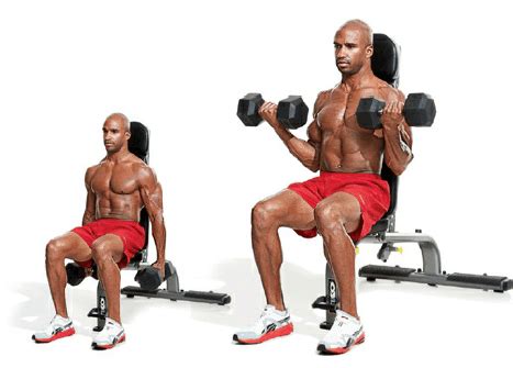 Toradh íomhá ar Sitting Dumbbell Curls