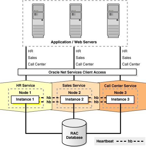 Toradh íomhá ar Client Server with Oracle Database Architecture