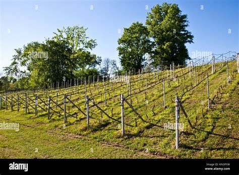 Image result for Edge Impulse Vineyard Irrigation