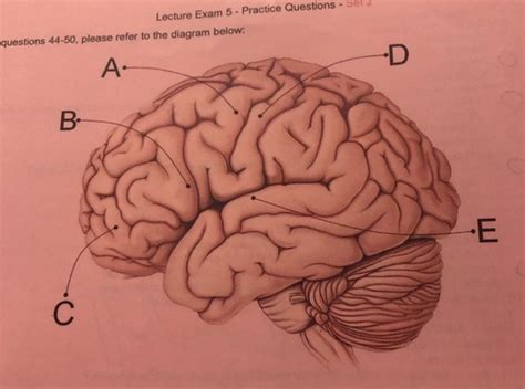 Toradh íomhá ar Computer Science Component 1 Picture