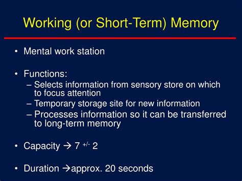Image result for Function of Short-Term Memory