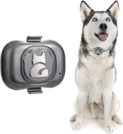 Hot Latest IP67 Waterproof Mini GPS Pets Tracker Anti-Lost Real Time Tracking Locator For Dog Cat Bird Animals Free Website APP