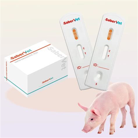 Veterinary Test Kits Swine Fever CSFV Detection Of Swine Fever Classical Swine Fever Virus Antibody Rapid Test