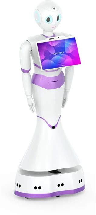 Reeman Human Size Automatic Walk And Talk For Public Place Reception Guide Service Robot For Hospital/Showroom/Police Station