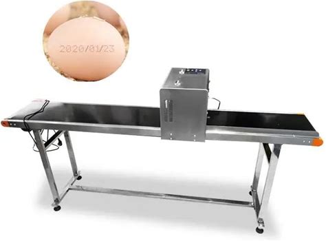 Hot Sell Egg Printing System Egg Code Printing Machine Egg Jet Printer