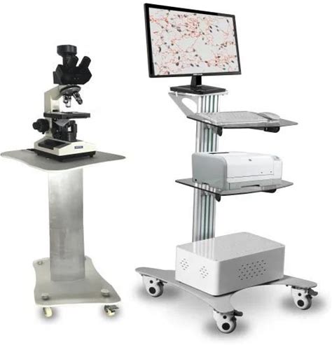 Sperm Quality Analysis System