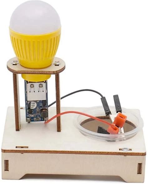 Children's Wooden Salt Water Generator Model Science Toy Fun Technology Physics Bag Children's Education Toy Learning Toy