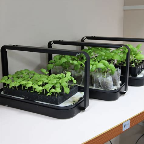 Seedling Pots Setup Humidity Generator Kitchen Kit Tray Microgreen Disposable Medium