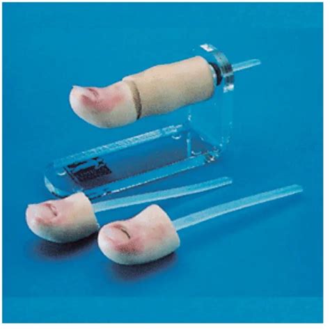 BIX-LV6-1 Medical School High Quality Simple And Convenient Nail Removal Training Module For Teaching And Learning Anatomy