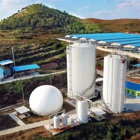 Biogas Projects At The Right Price