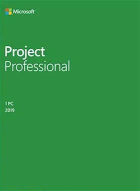 Microsoft Project Professional 2019