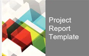 Project Report Template